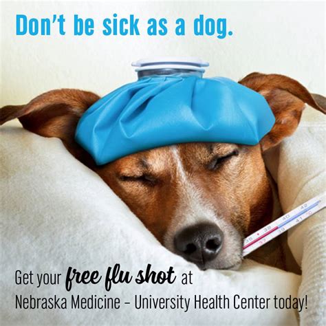 Flu Shots Still Available Announce University Of Nebraska Lincoln