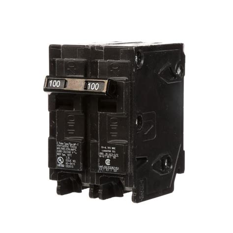 Murray 100 Amp Double Pole Type Mp Circuit Breaker Mp2100p The Home Depot