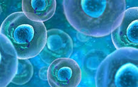 Cell Theory Timeline | Timetoast timelines