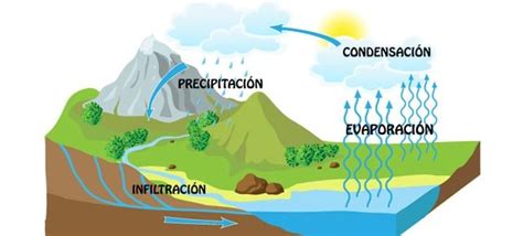 ¿qué Es Ciclo Del Agua Concepto Definición Y Características