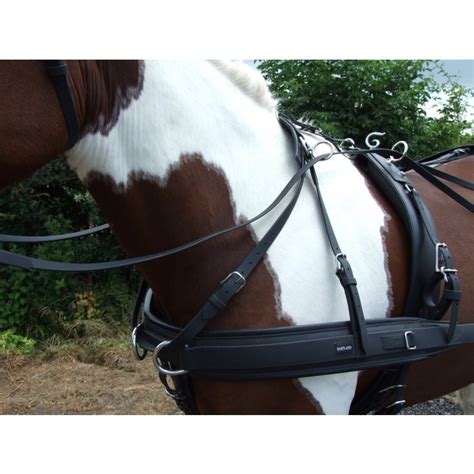 Ideal Leathertech Combination Harness