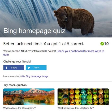 Take The Bing Homepage Quiz Challenge Quizzes Bear Species Quiz
