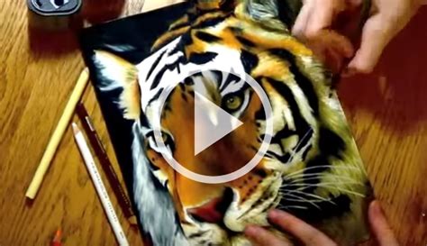 Disegnare O Dipingere Una Tigre Bellissima Tutorial Stile Arte