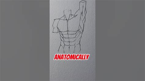 How To Draw Serratus Muscle 💪🏻 Jmarron Youtube