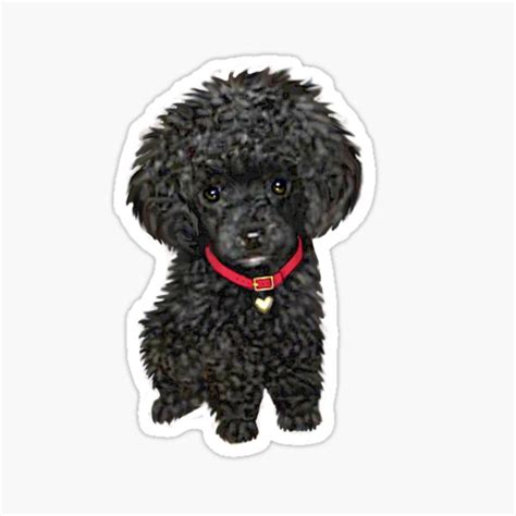 Poodle Miniature Black Pup Sticker For Sale By Jeanbfitzgerald