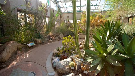 Abq Biopark Botanic Garden In Albuquerque New Mexico Expedia