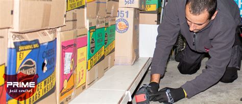 Food businesses usually employ a pest control contractor to implement measures for pest monitoring and control, including preparation when fulfilling the ifs requirements for pest control, all relevant statutory requirements must be figure 2: Pest control legislation UK | Prime Pest Control London