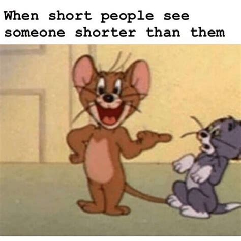Top 108 Funny Memes For Short People