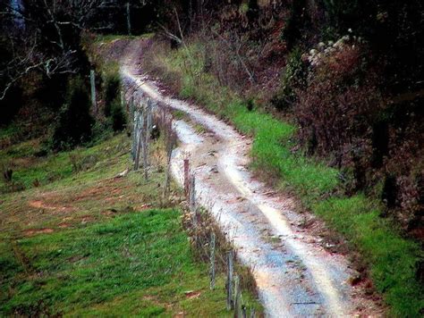 Free Picture Steep Country Road Appalachian Mountains