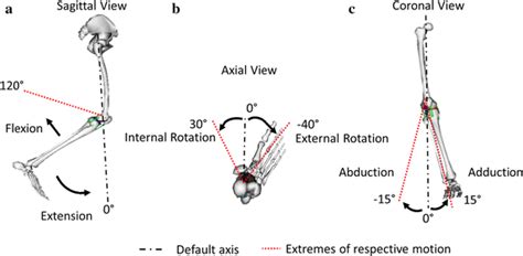 Knee Joint Under A Flexion B Rotation And C Adduction Download