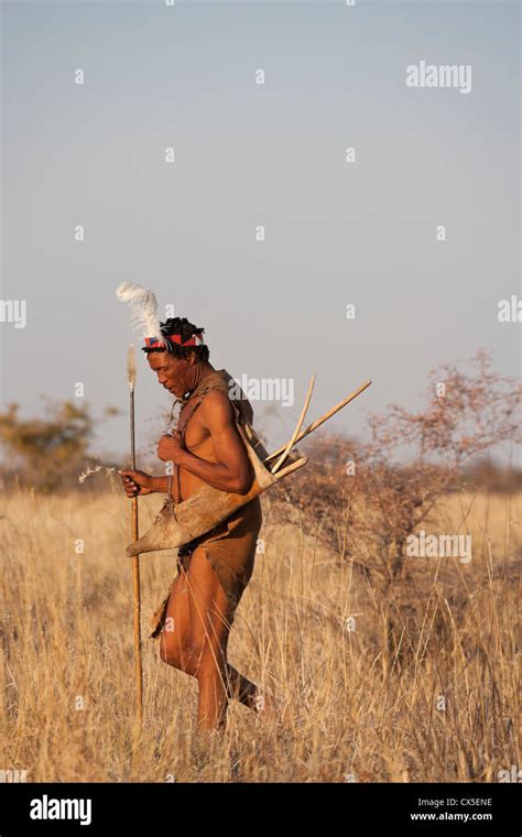 Bushmen Bushman Kalahari Desert Africa Tribe Wild Stock Photo Alamy