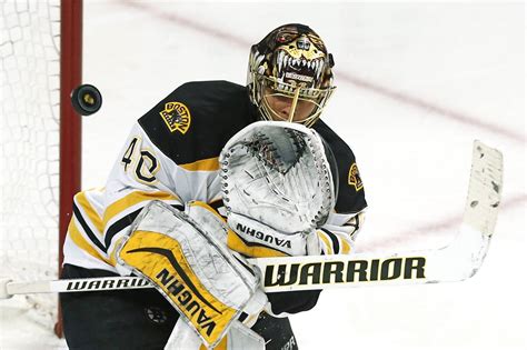 Newly Discovered Wasp Named After Bruins Goalie Tuukka Rask Chicago