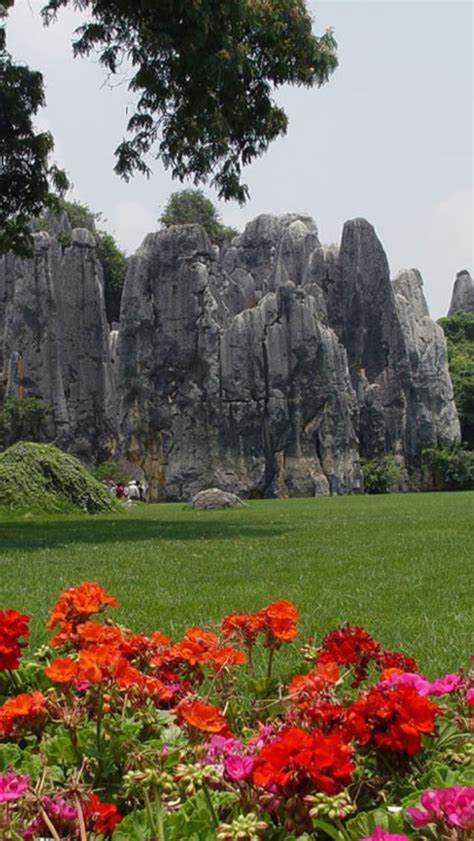 Visit The Stone Forest Shilin China Amazing Kunming Yunnan