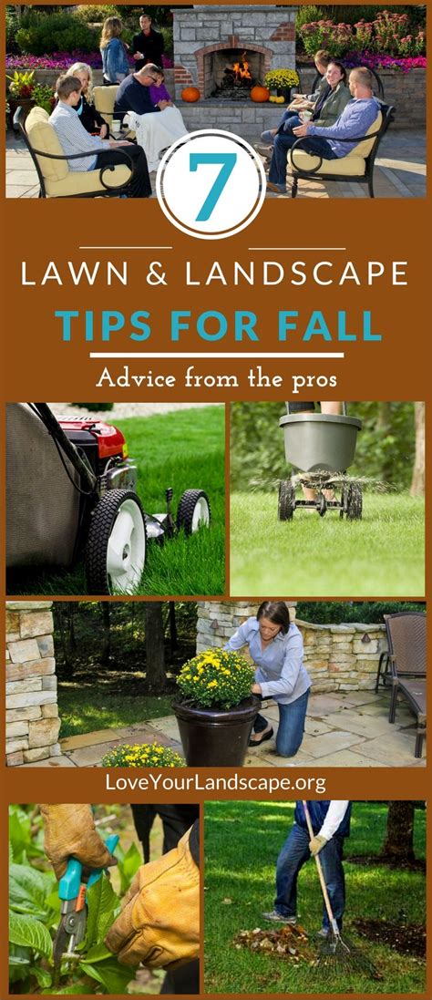 The Must Know 7 Fall Lawn Care And Landscaping Tips From Professionals