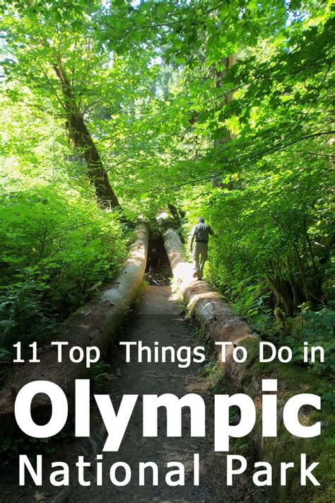 11 Top Things To Do In Olympic National Park A Visitors Guide