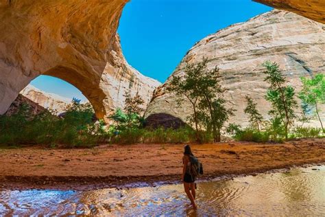 Grand Staircase Escalante National Monument Utah Tickets And Tours 2024