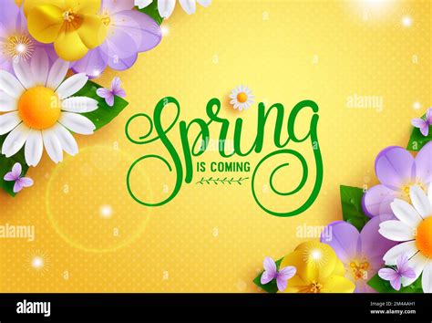 Spring Flowers Vector Background Design Spring Is Coming Text In Empty