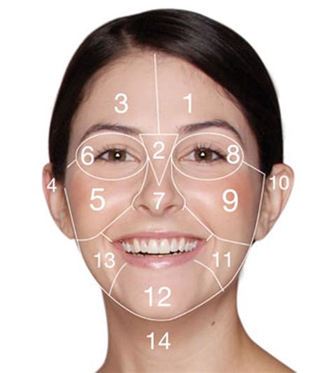 Facial Zones Breakout Causes And Solutions Beauty And The Dirt