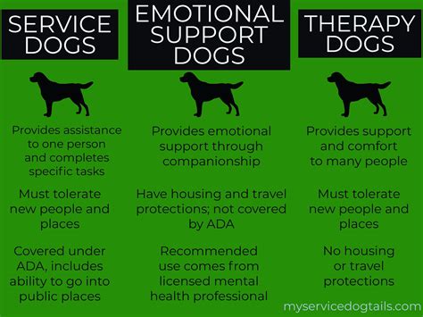 At A Glance Different Helping Dogs Emotional Support Dog Therapy