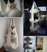 Pictures of Cat Beds How To Make