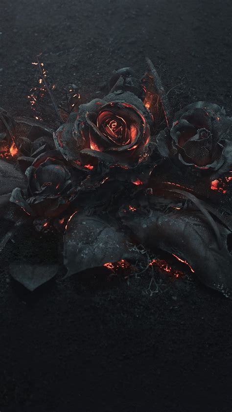 X Px P Free Download Burning Roses Dark Fire Flowers Rose Burning Rosesburn