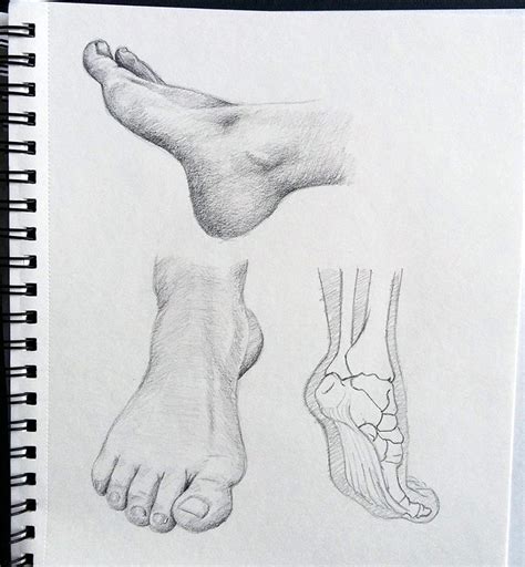 65 Drawings Of Feet Sketches And Anatomy Studies