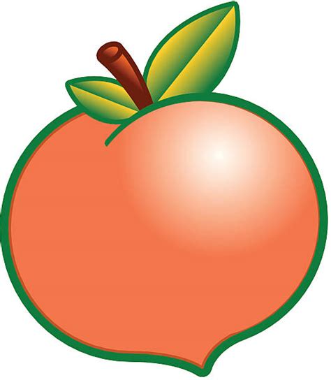 Royalty Free Georgia Peach Clip Art Vector Images And Illustrations Istock