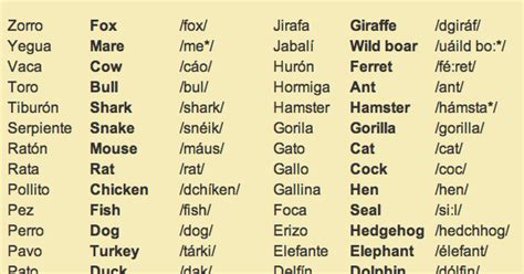 Nombres De Animales En Ingles Animales En Ingles Nombres De Animales
