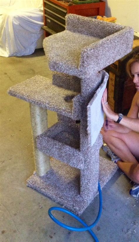 Diy Kitty Scratching Post And Bed Diy Cat Scratching Post Cat