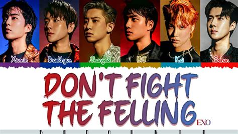 Exo 엑소 Dont Fight The Feeling Lyrics Color Coded Hanengrom Youtube