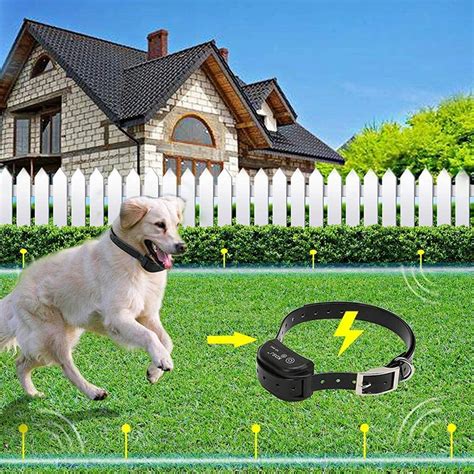 Multiple Wire Gauge Options Stubborn Dog In Ground Stable Electric