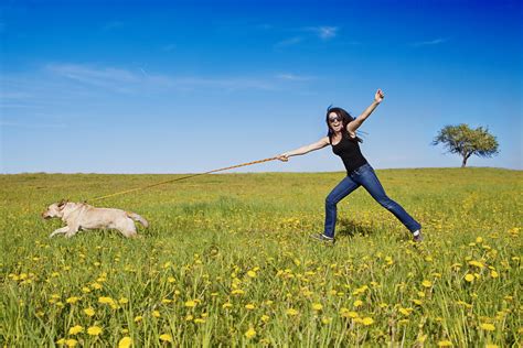 Yes, stopping a dog pulling on lead is something everyone has an opinion on, even if they have never had a dog. Stop Your Dog From Pulling on the Leash