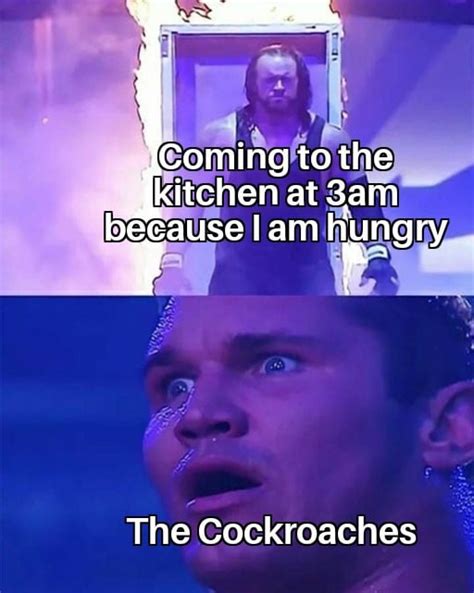 Late Night Snack Is Necessary Rmemes