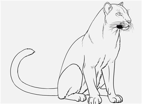 Free hauspanther calming coloring pages. The best free Panther coloring page images. Download from ...