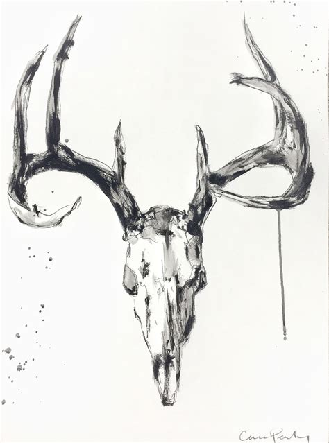 Mule Deer Skull Drawing At Getdrawings Free Download