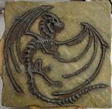 Dragon Fossils Pictures