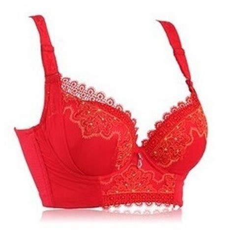 womens lace embroidery side support extreme deep plunge push up longline bra in bras from women