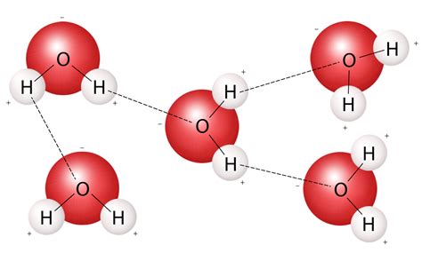 Cohsive Hydrogen Bond Evaporation Water Molecule Hot Sex Picture