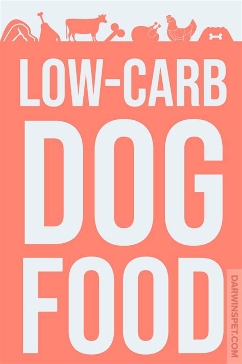 High quality foods are available for nearly all pet types whether you have a dog, cat, reptile, fish, small animal or feathered friend. Low-Carb Dog Food | Raw dog food recipes, Low carb dog ...