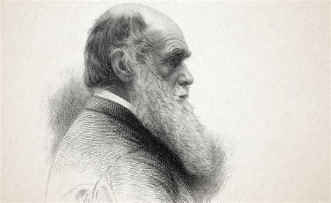 Resumen Del Libro El Origen De Las Especies De Charles Darwin Libros