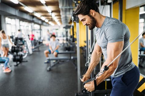 Navigating The Trenbolone Cycle A Comprehensive Guide To Effective