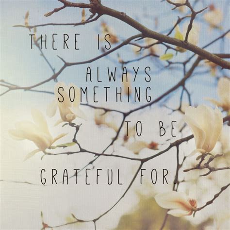 There Is Always Something To Be Be Grateful For Quote Photo By