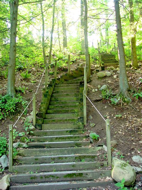 Forest Stairs Free Stock Photo Public Domain Pictures