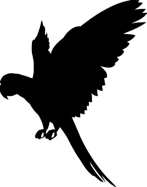 Download SVG > fly parrot - Free SVG Image & Icon. | SVG Silh