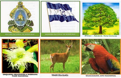 Resultado De Imagen Para Simbolos Patrios De Honduras Simbolos Patrios Simbolos Nacionales