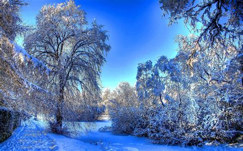 Beautiful Winter In The Woods Wallpapers Wallpaper Cave