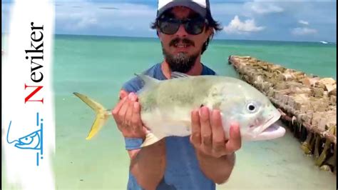 Pesca De Jurel Desde La Playa Pesca De Orilla Yucatan Youtube