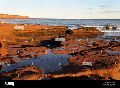 Red Sandstone Coastal Cliffs Cavendish Beach Pei National Park Prince Edward Island Canada