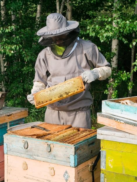 Premium Photo Beekeeper Male Working Collect Honey Beekeeping Concept