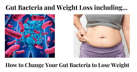 How To Change Your Gut Bacteria To Lose Weight
